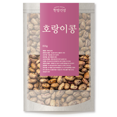 한방선생 매화강낭콩 호랑이콩 특품, 600g, 1개