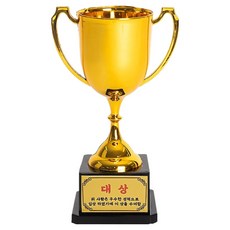 조이파티 커스텀 트로피, 대상