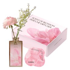 쿤달 센트 오브 블라썸 퍼퓸 디퓨저 선물세트 125ML, 피오니 블룸, 1개