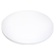 OSRAM 歐司朗 圓形框架房間燈 500mm 60W, 白色 + 晝光色