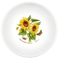 PORTmeIRION 波特玫琳恩 Botanic Garden 蝕刻湯飯碗, 1個, 隨機出貨