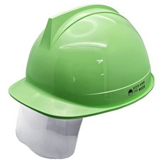 DONGMYUNG 建築工地 工地 頭部保護安全帽 頭盔型護目鏡 ABE等級 淺綠色, 1個
