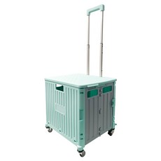 World Clean 大型折疊式購物車, 1個, 混合色