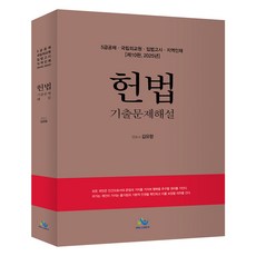2025 憲法考古題詳解：5級公招 國立外交院 立法高等考試 地方人才, 윌비스
