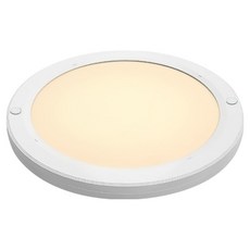 JangsuLamp 圓形吸頂燈 20W 220mm 暖白光, 白色, 1個