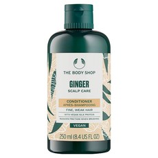 더바디샵 진저 스캘프 케어 컨디셔너, 250ml, 1개