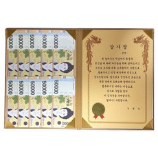 럭키심볼 황금 카네이션 숨어있는 용돈 DIY 속지 + 감사장 케이스 세트, 할머니, 1세트