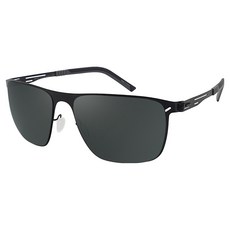 Pantone FANTON 金屬鏡框偏光太陽鏡 ZFFG73