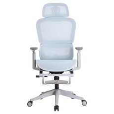 루비스 메쉬 오피스 책상 사무실 컴퓨터 의자 발받이형, 블루