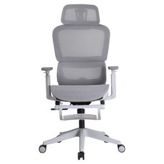 루비스 메쉬 오피스 책상 사무실 컴퓨터 의자 발받이형, 그레이