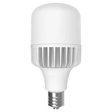 JangsuLamp Mellibing LED燈泡 E39 70W, 日光色, 1個