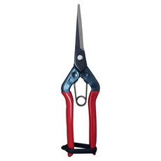 CHIKAMASA 近正 疏果剪 T-570 C2707897, 1個