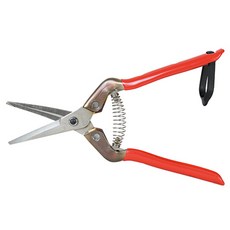 CHIKAMASA 近正 不鏽鋼彎刃摘果剪 T-55SR C2703244, 1個