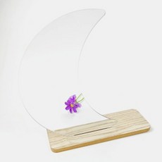 Finest One 藝術造型室內裝飾鏡 24 x 15.5 cm, 彎月 1.6mm