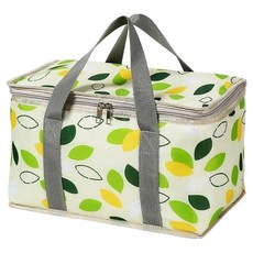 클로나인 보냉 보온 쿨러백, 그린, 1개