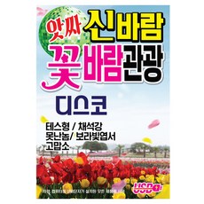 Assa 歡樂花風觀光迪斯可
