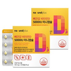 내츄럴플러스 뼈건강 비타민D 5000IU 미니캡슐 18g, 2개, 120정