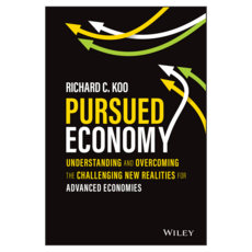 Pursued Economy : Understanding and Overcoming the Challenging New Realities for Advanced Economies, Wiley