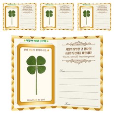 幸運象徵 幸運四葉草真花 VVIP 護貝卡 4p + 訊息折疊卡 4p 套組, 混色, 2套