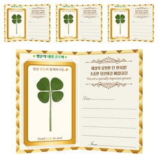 幸運象徵 幸運四葉草真花 VVIP 護貝卡 4p + 訊息折疊卡 4p 套組, 混色, 1套
