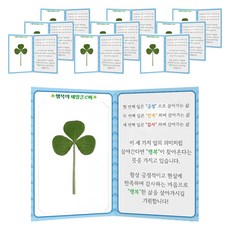럭키심볼 행복의 세잎클로버 생화 투명 코팅카드 5p + 폴더카드 5p 세트, 혼합색상, 2세트
