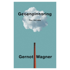 Geoengineering : The Gamble 반양장, Wiley