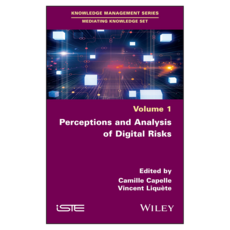 Perceptions and Analysis of Digital Risks, Wiley