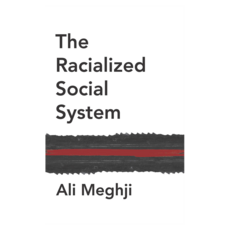The Racialized Social System : Critical Race Theory as Social Theory 반양장, 와일리