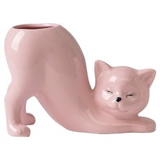 Morningscent 陶瓷小型植物多肉仙人掌盆栽換盆貓尾花盆, 粉紅色, 1個