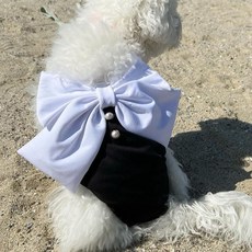 小狗I Love Pet珍珠蝴蝶結連身泳衣, 黑色, 1個