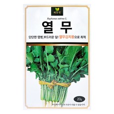 다농 씨앗애 열무 씨앗 20g, 1개