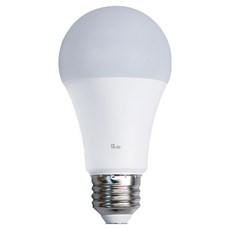 LED 벌브 전구 12W, 주광색, 1개