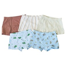 Bebezoo 女童四角褲5件組 D