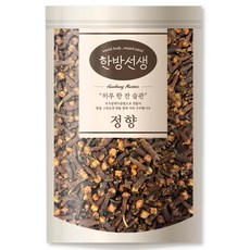 한방선생 정향 클로브, 100g, 1개