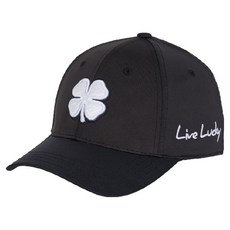 BLACK CLOVER 韓國高級幸運草41記憶貼合高爾夫運動帽, 1個