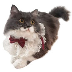 김멍냥 반려동물 레이스 리본 케이프 턱받이, 레드, 1개