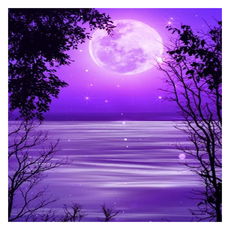 Kumi Hands 神秘月亮畫布型鑽石畫, ZY-2910, 1個