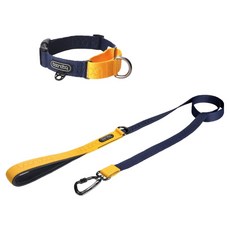 분독 강아지 오리지널리쉬 리드줄 + 카라비너 마틴게일 목줄 세트, 네이비, 1세트