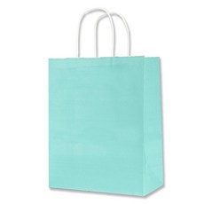 아이엔피 칼라 종이쇼핑백, 하늘색, 25개