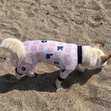 바크독 강아지 올인원, 레터링, 1개