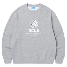 UCLA 變形熊標誌毛圈大學T UA3LT81