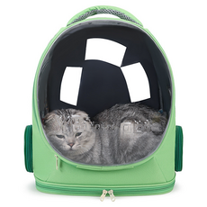 YBY2PET Mail Cat 寵物移動後背包, 綠色, 1個