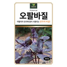 다농 씨앗애 오팔바질 씨앗 300p, 1개
