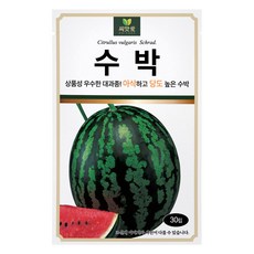다농 씨앗애 수박 씨앗 30p, 1개
