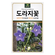 다농 씨앗애 도라지꽃 씨앗 1000p, 1개