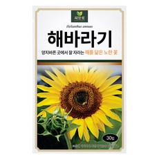 다농 씨앗애 해바라기 씨앗 30p, 1개