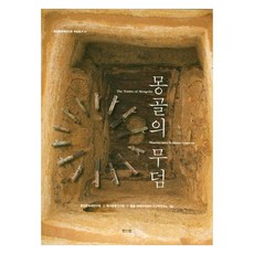 蒙古的墳墓, 中央文化財研究院, 眞人眞