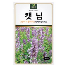 다농 씨앗애 캣닙 씨앗 500p, 1개