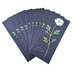 리리월드 일본 수입 예쁜 꽃 용돈 봉투, 네이비 국화