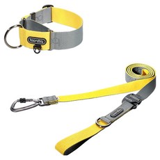 분독 플레이리쉬 리드줄 + 카라비너 와이드 목줄 세트, 그레이레몬, 1세트
